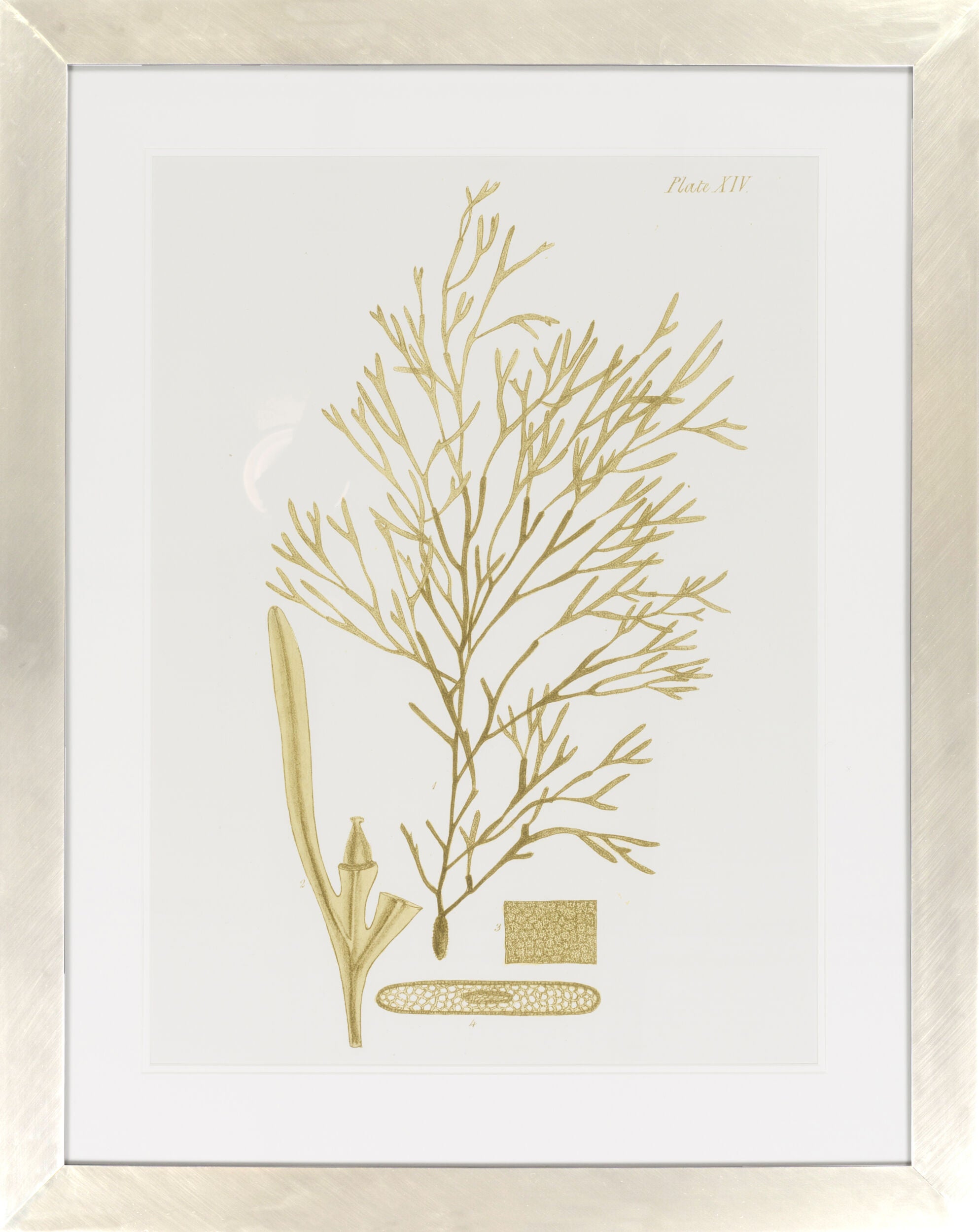 Surya Wall Decor Framed Art | LJ4009