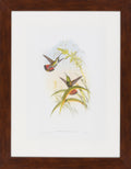 Surya Wall Decor Framed Art | LJ4012
