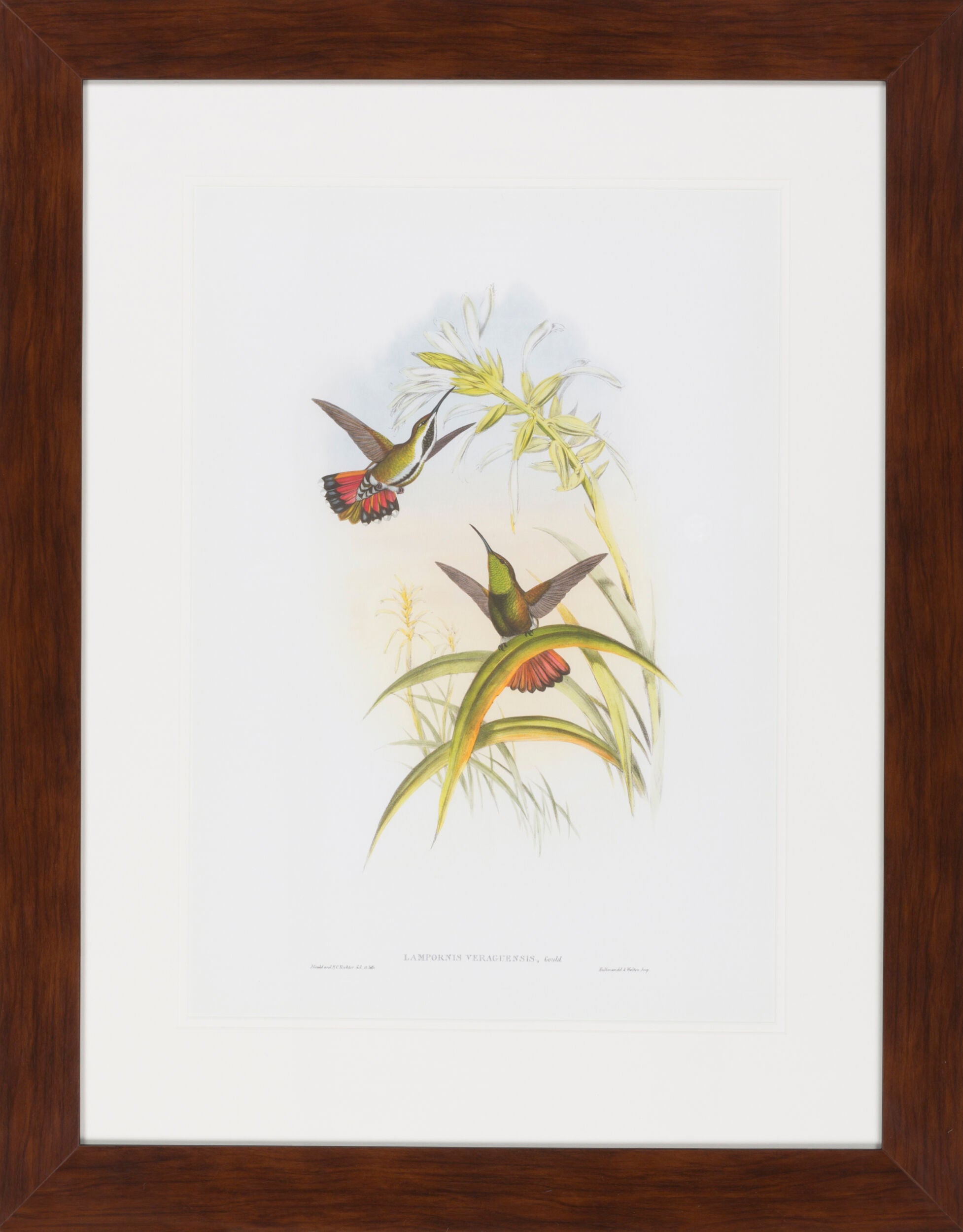 Surya Wall Decor Framed Art | LJ4012