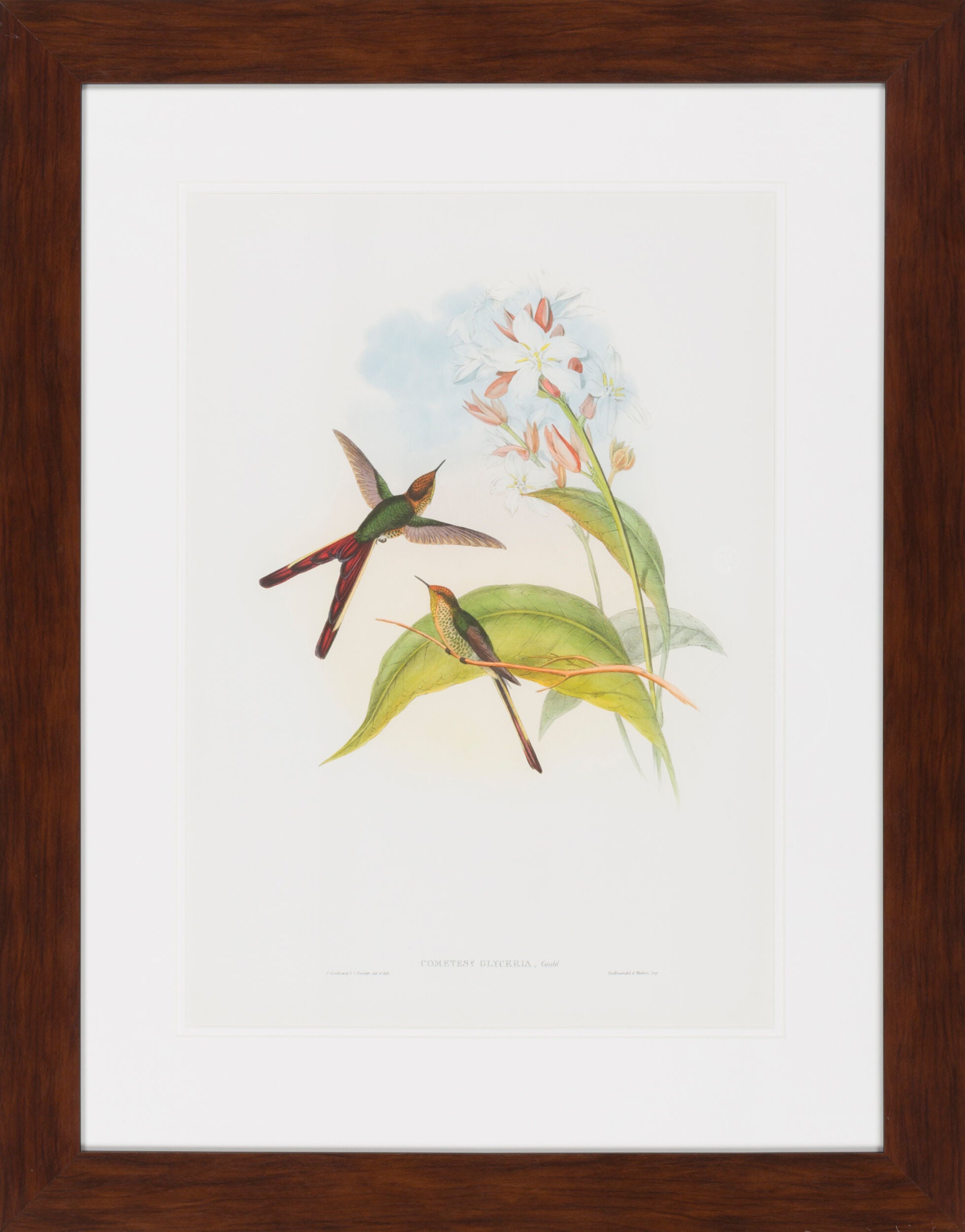 Surya Wall Decor Framed Art | LJ4013