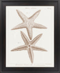 Surya Wall Decor Framed Art | LJ4024