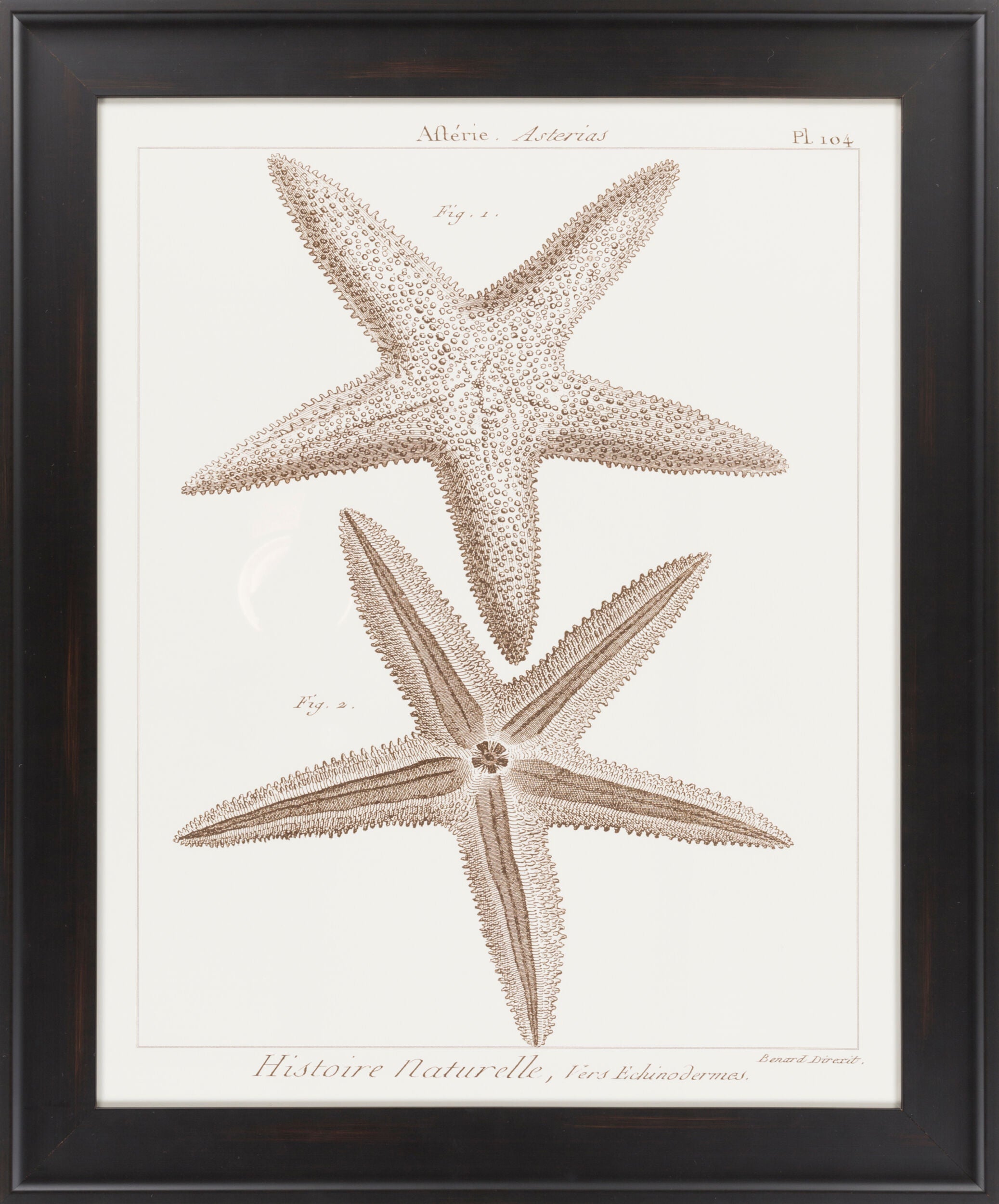 Surya Wall Decor Framed Art | LJ4024