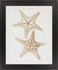 Surya Wall Decor Framed Art | LJ4025