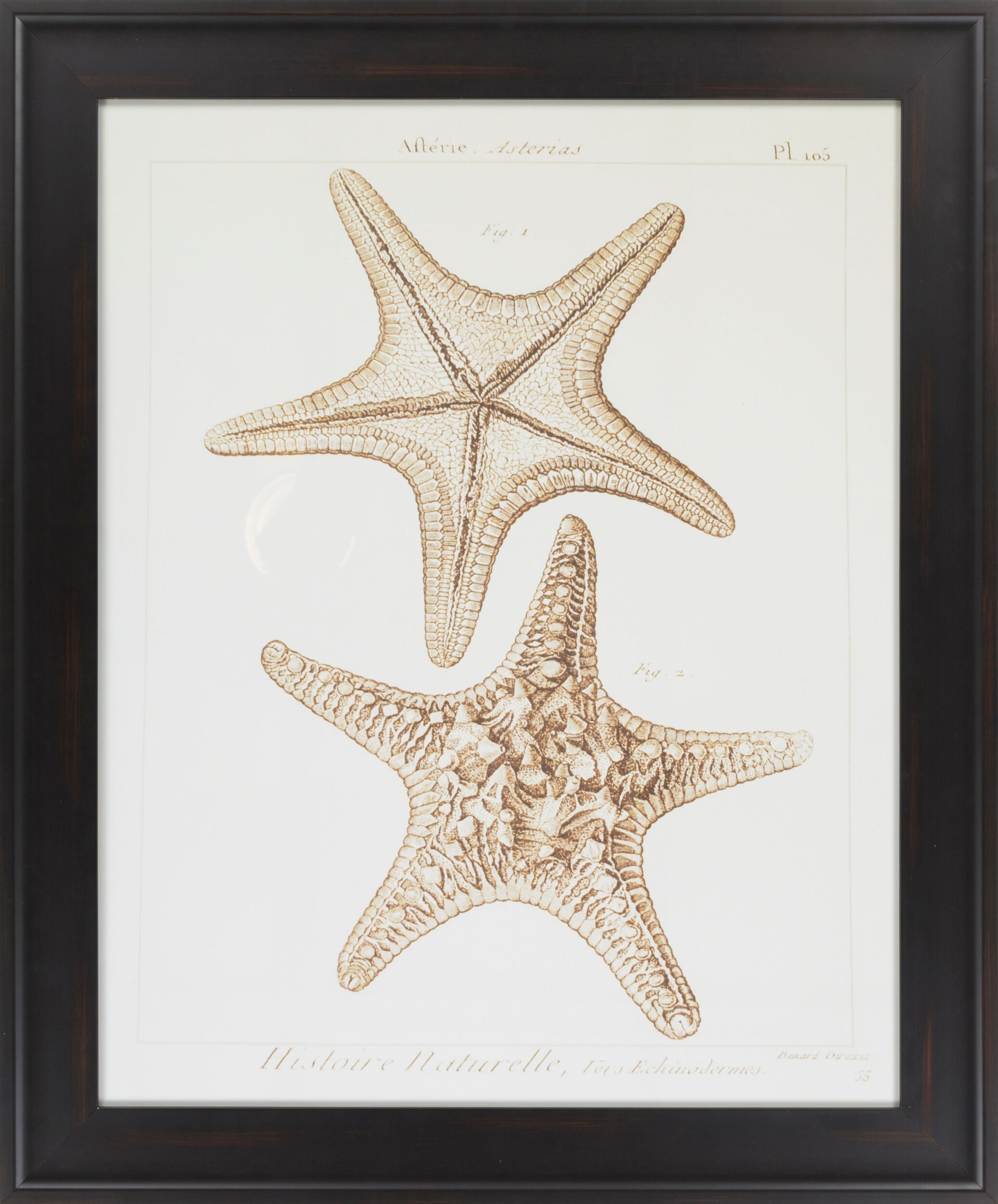 Surya Wall Decor Framed Art | LJ4025