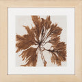 Surya Wall Decor Framed Art | LJ4035