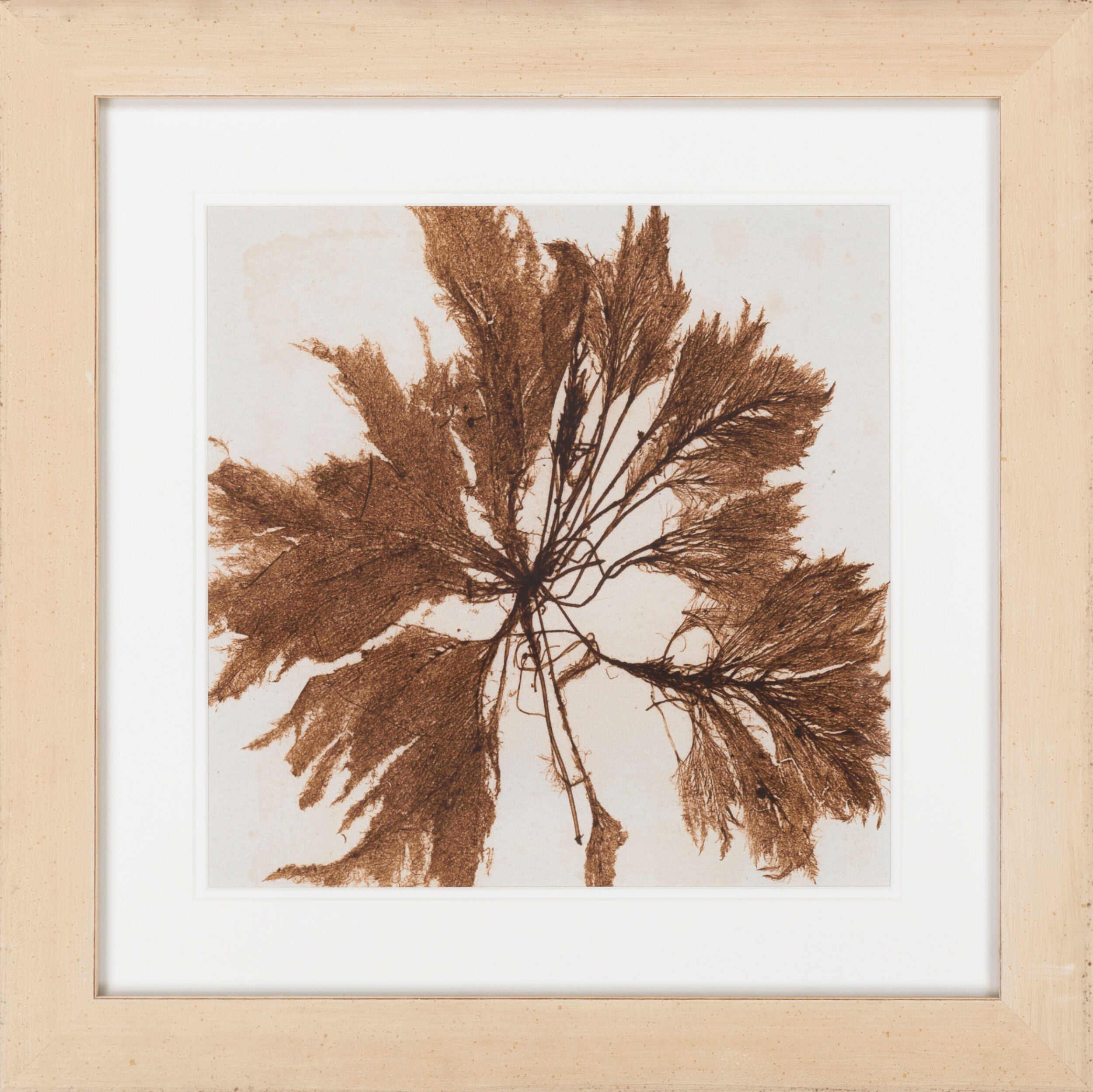 Surya Wall Decor Framed Art | LJ4035