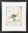 Surya Wall Decor Framed Art | LJ4104