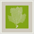 Surya Wall Decor Framed Art | LJ4237