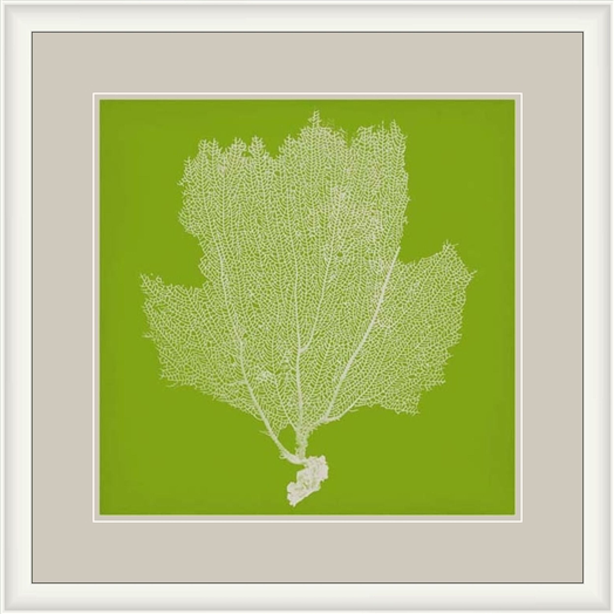 Surya Wall Decor Framed Art | LJ4237