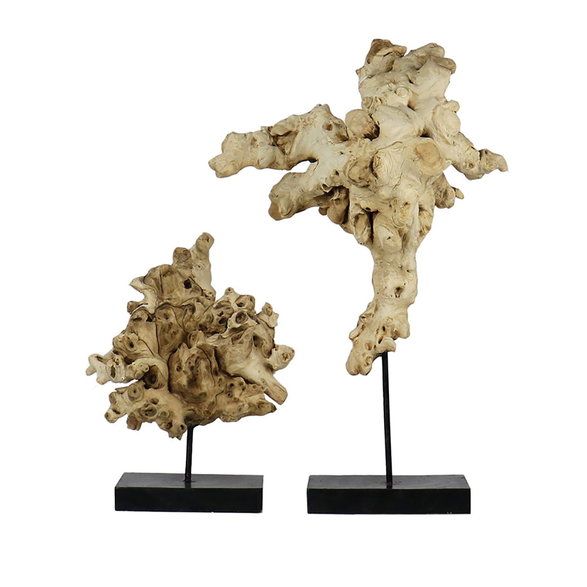 Burly Wood Table Top Sculpture | Large