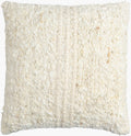 Neutral Accent Pillow | NEU001