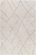 Nalan Rug | Medium Gray | NYL2303