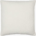 Olinda Accent Pillow | OIN001