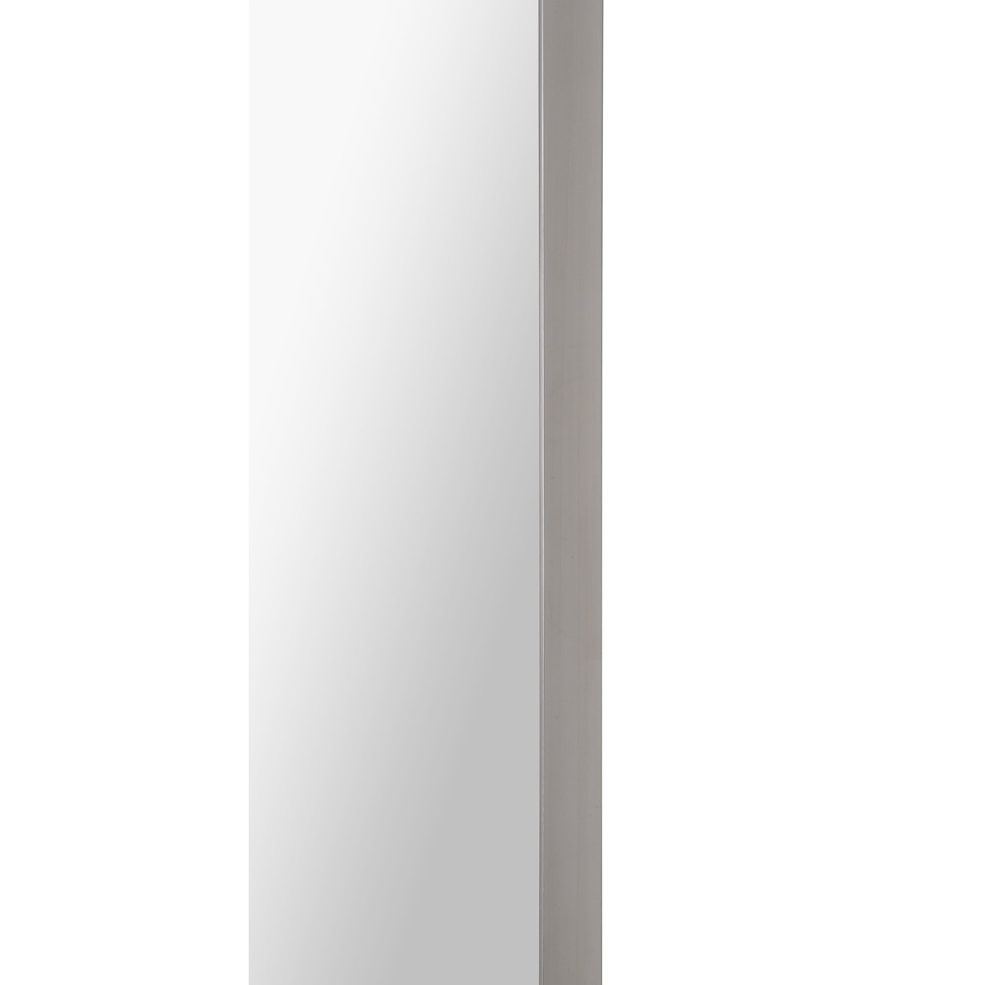 Delphinus Wall Mirror