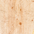 Surya Wall Decor Dimensional Wall Accent | PLM8000