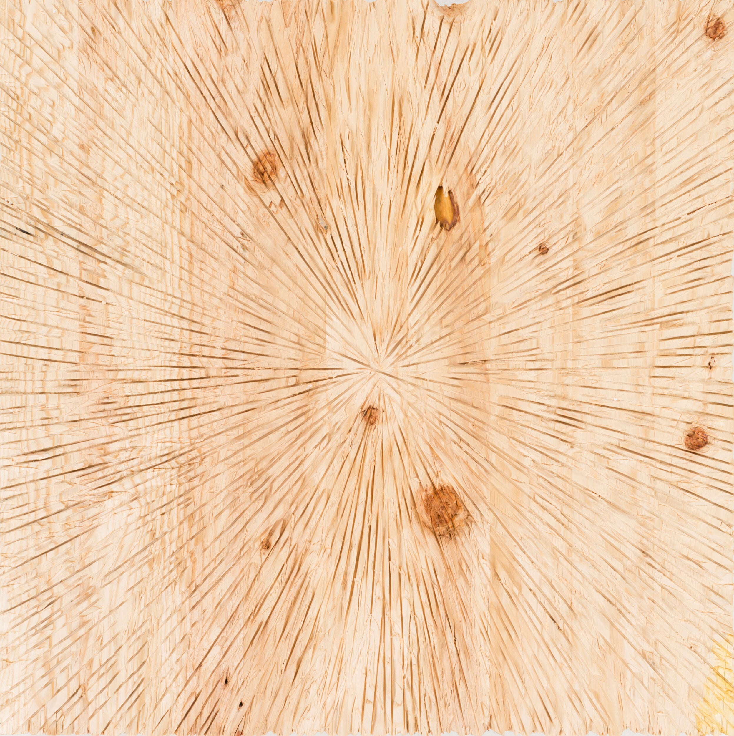 Surya Wall Decor Dimensional Wall Accent | PLM8000