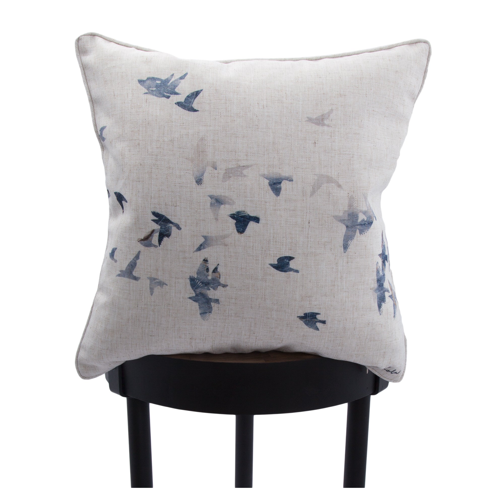 Flight Indoor Pillow