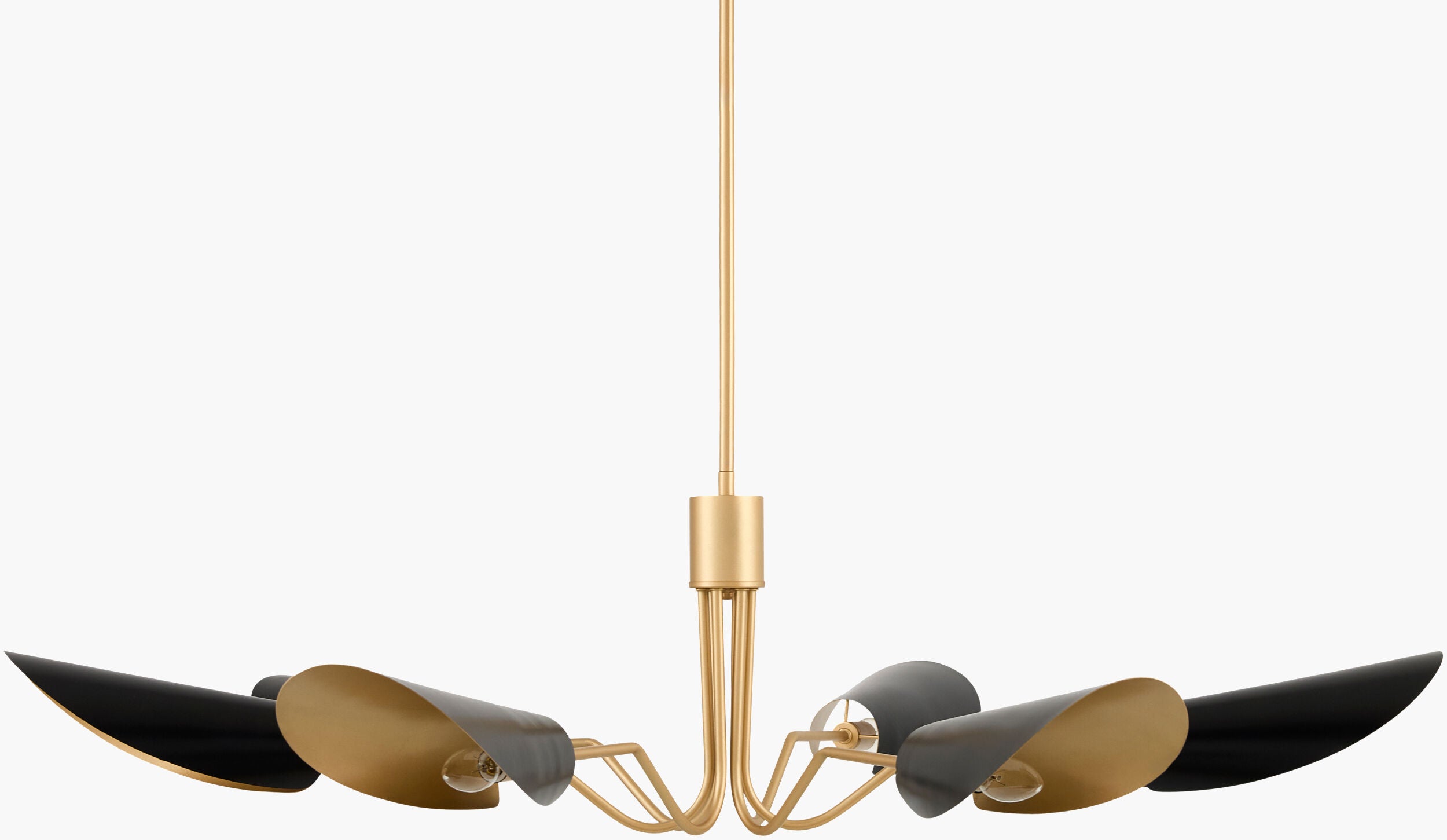 Rivage Chandelier | RVG
