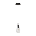 Lustra Small Accent Pendant Clear Nightshade Black LED 2700K 90 CRI lamp