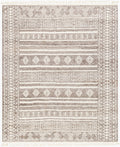 Tulsa Rug | Taupe | TLS2302