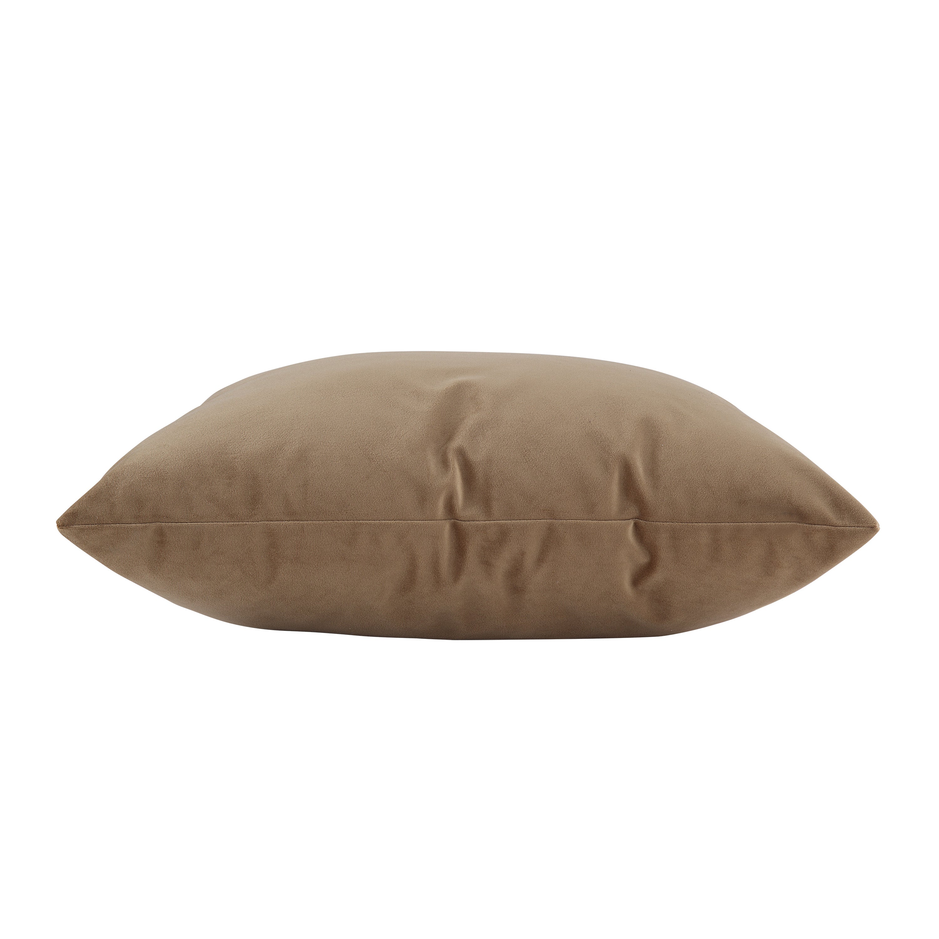 Alchemilla Indoor Pillow