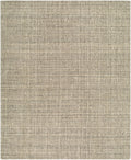 Toronto Rug | Taupe | TTN2306