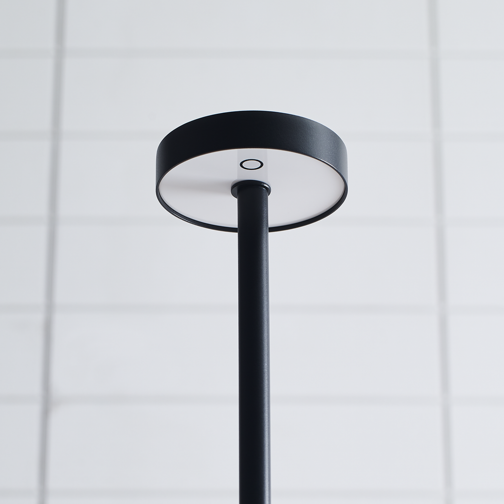Moneta Medium Rechargeable Floor Lamp Black 2700K 90 CRI