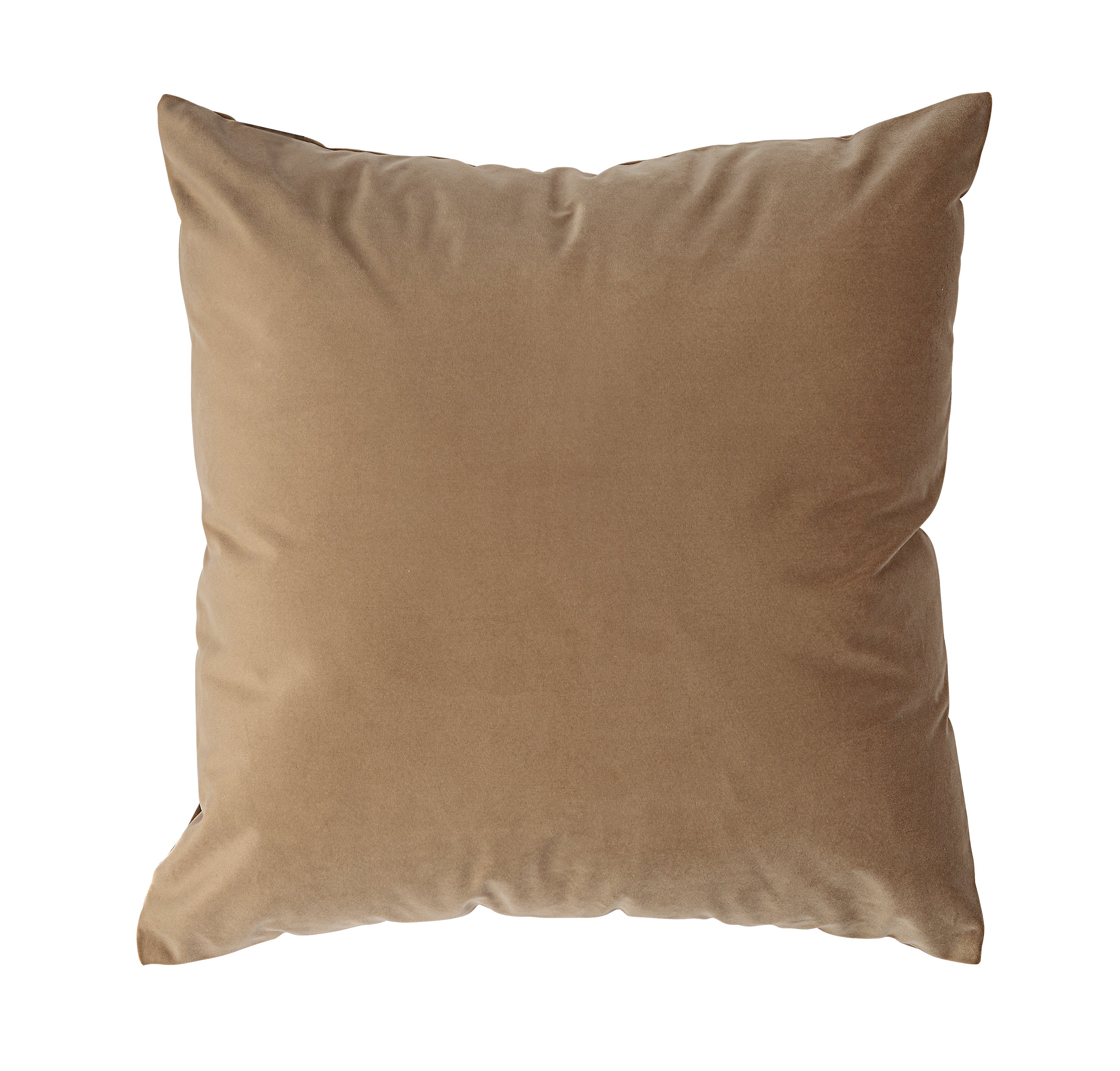 Alchemilla Indoor Pillow